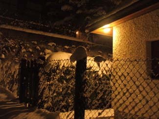 DSCF0348
