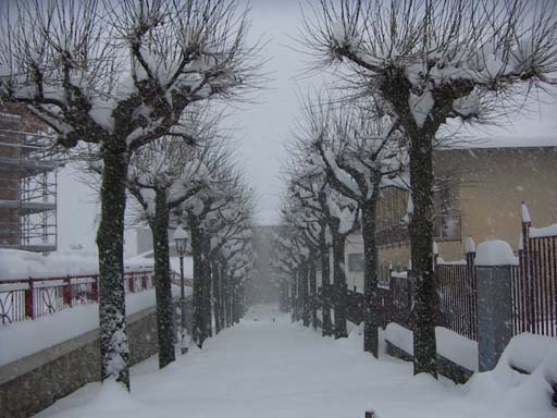 PICT0046
