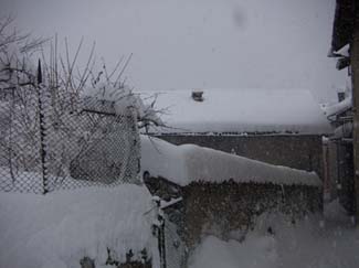 PICT0055