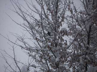 PICT0066