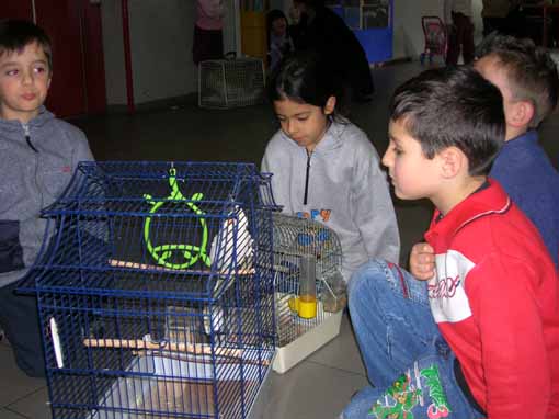 image025